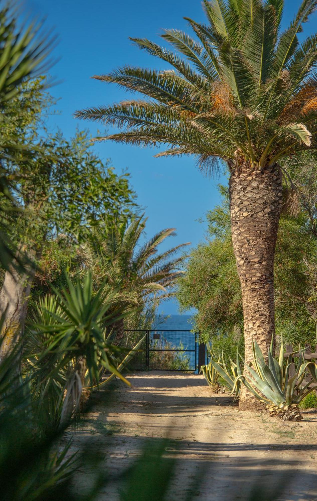 Casara Seis O Casara Siete - Tu Casa A 100M De La Playa De Zahora Konuk evi Dış mekan fotoğraf