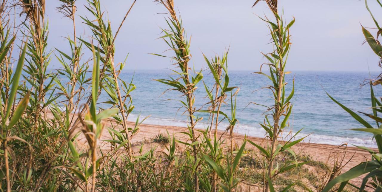 Casara Seis O Casara Siete - Tu Casa A 100M De La Playa De Zahora Konuk evi Dış mekan fotoğraf