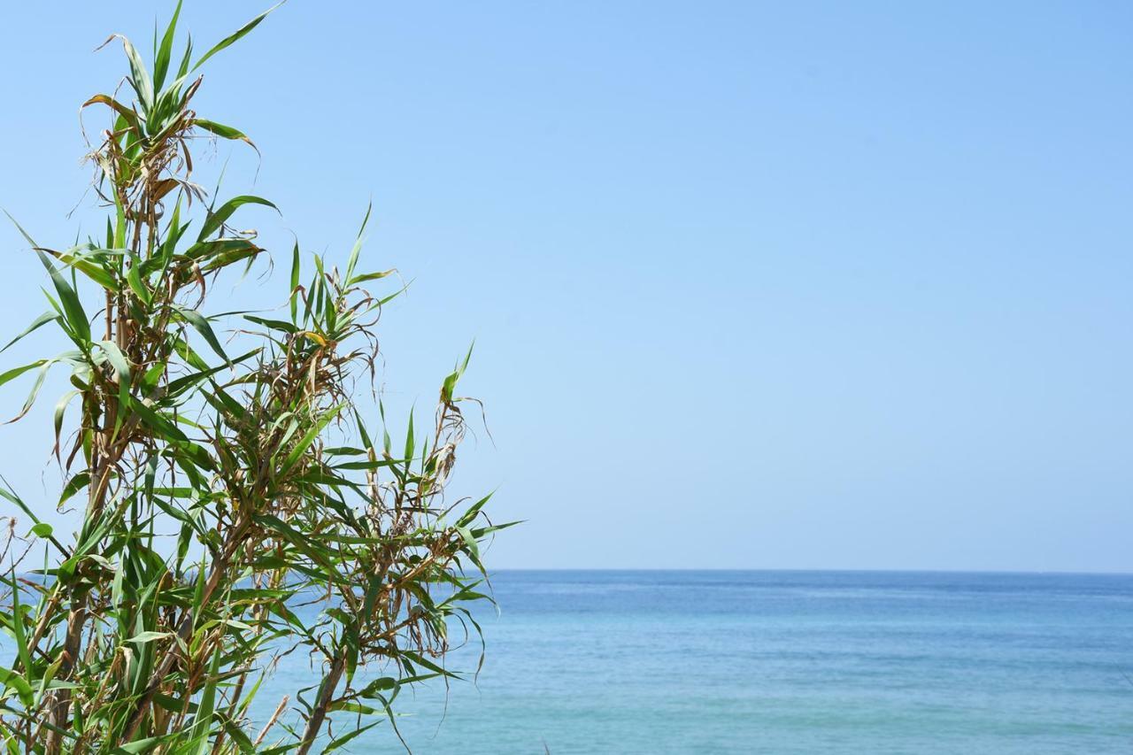 Casara Seis O Casara Siete - Tu Casa A 100M De La Playa De Zahora Konuk evi Dış mekan fotoğraf