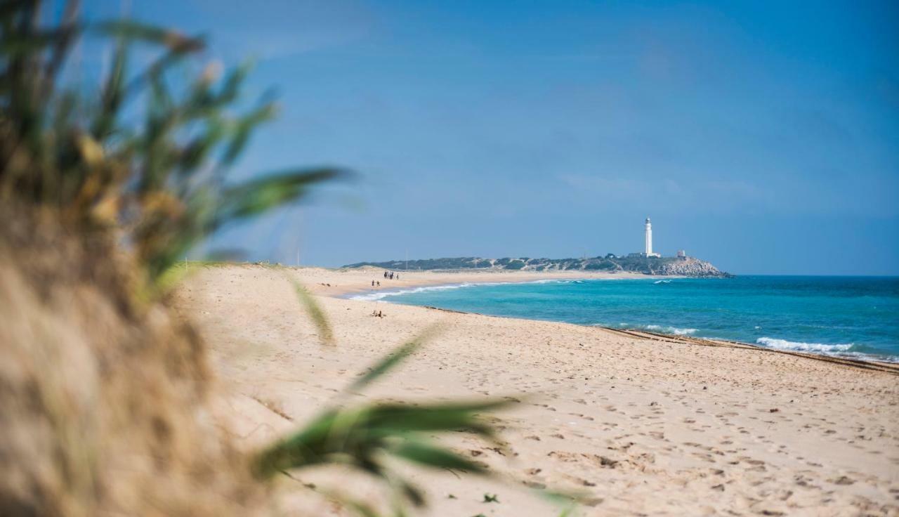 Casara Seis O Casara Siete - Tu Casa A 100M De La Playa De Zahora Konuk evi Dış mekan fotoğraf