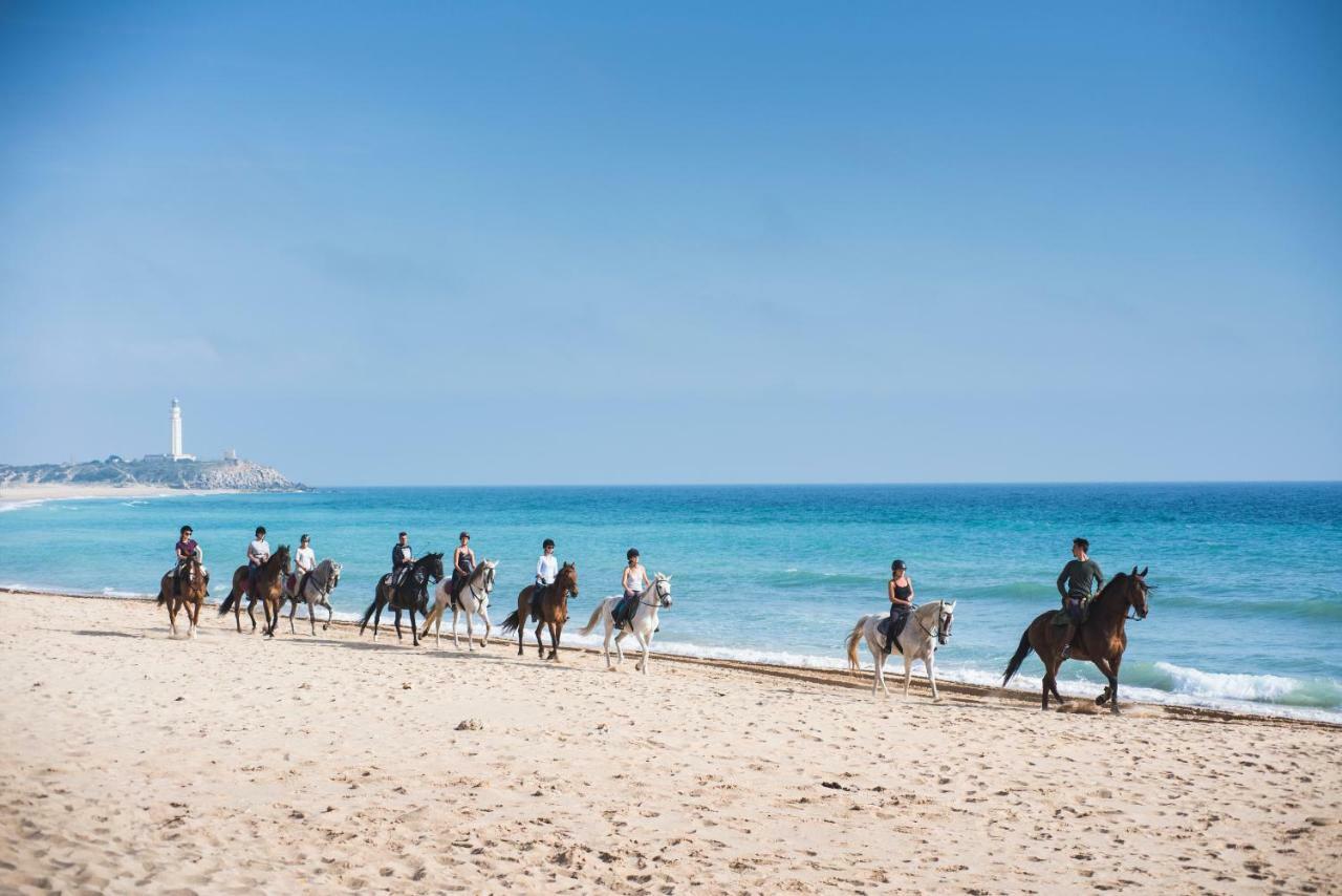 Casara Seis O Casara Siete - Tu Casa A 100M De La Playa De Zahora Konuk evi Dış mekan fotoğraf